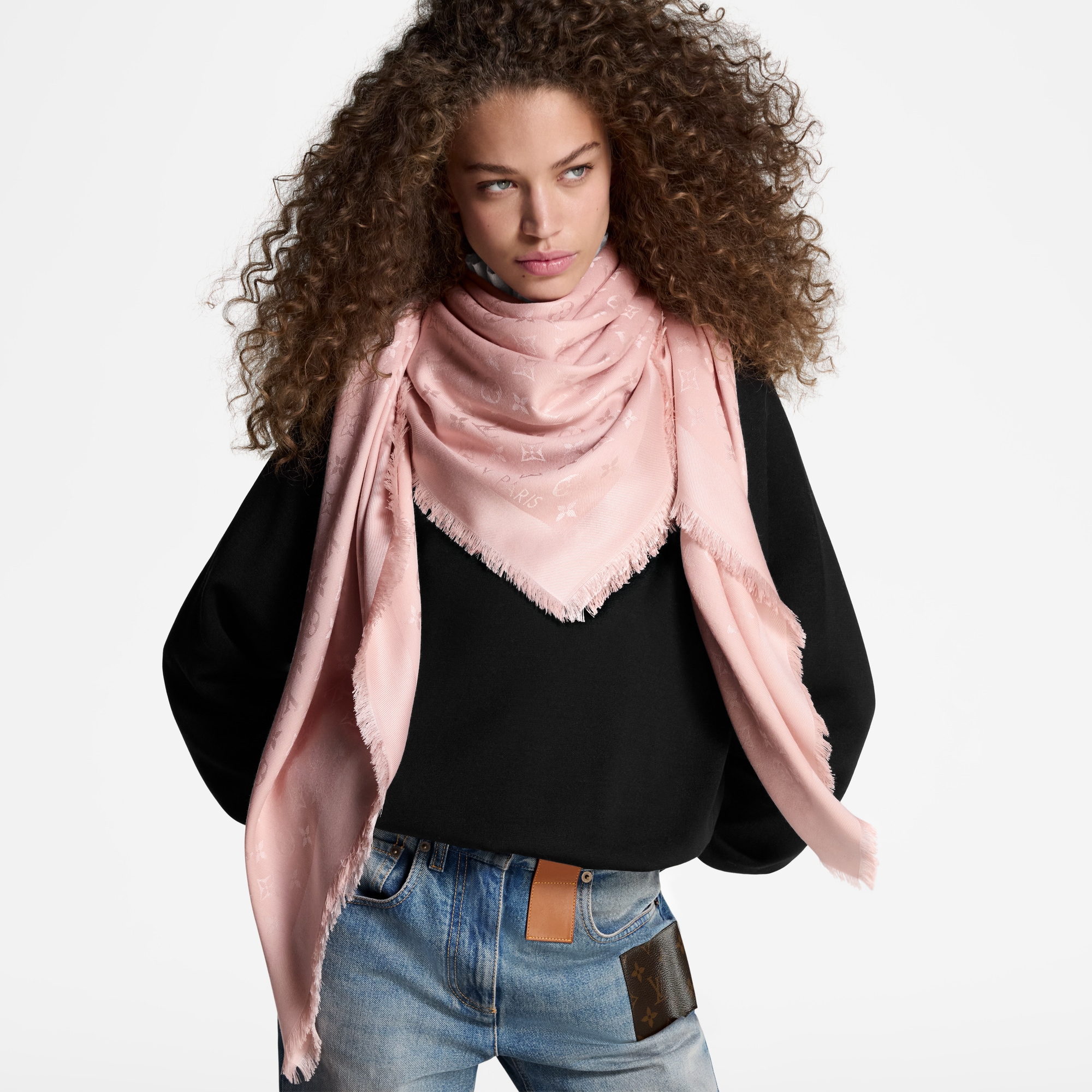 Louis Vuitton Monogram Classic Scarf